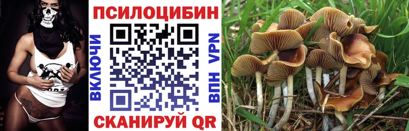 Псилоцибиновые грибы прущие грибы Шебекино