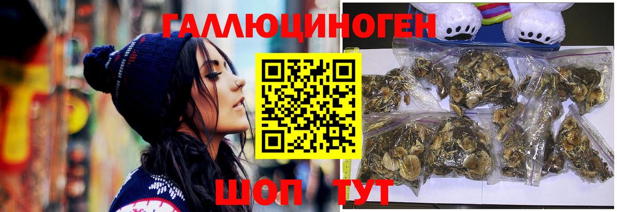 Шебекино  Псилоцибиновые грибы Cubensis  Псилоцибиновые грибы MAGIC MUSHROOMS  Вход с VPN 
