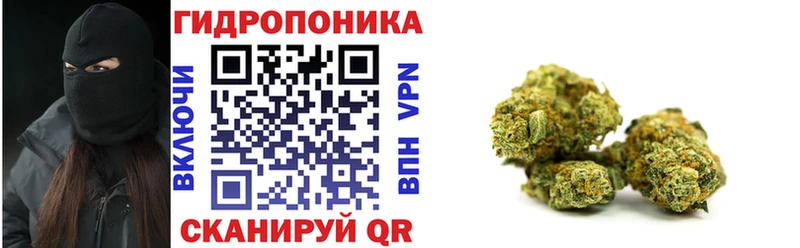 mega ТОР Шебекино дарк нет наркотические препараты Марихуана SATIVA & INDICA